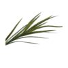 Lagrange Interiors Grass Bush Green