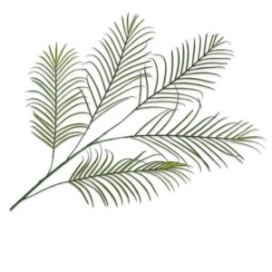 Lagrange Interiors Palm Spray Green