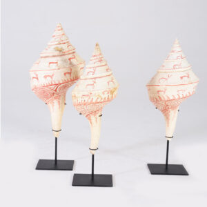 Lagrange Interiors Conch Shell on Stand Assorted