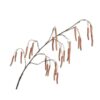 Willow Branch 130cm