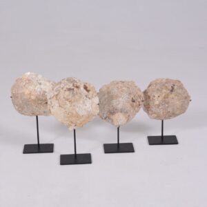 Shell on Stand 35020