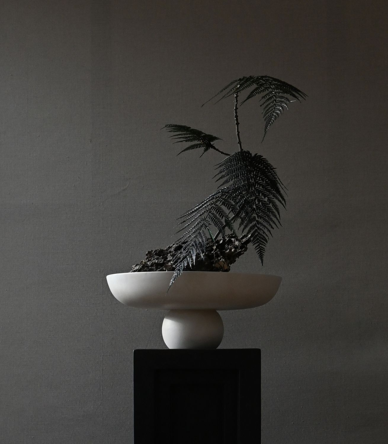 Bowl Baburu - Big - Birch (1)