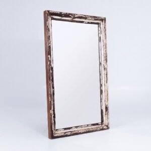 Mirror Sakana