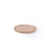 Tray Moon (1)